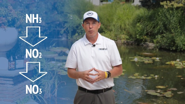 Amazon.com : MICROBE-LIFT ALGA32 Algaway 5.4 Algae Control